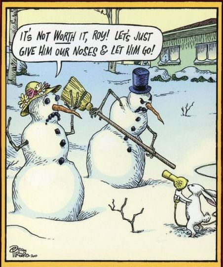 Playful theft of a cookie