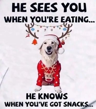 Santa enjoying snacks